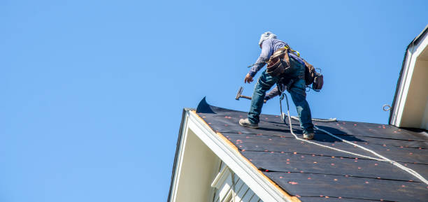 Best Roof Gutter Cleaning  in Clear Lake, IA